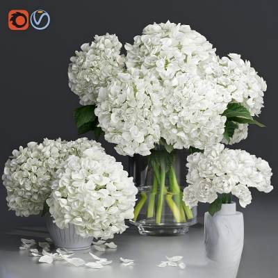 白色绣球花和牡丹枝条花瓶装饰套装